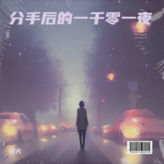 分手后的一千零一夜 (DJ名龙版)