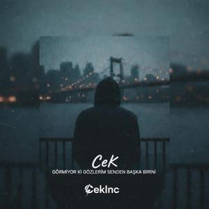 Görmüyor ki Gözlerim