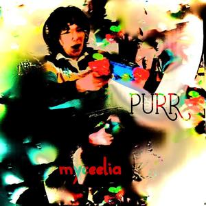 PURR