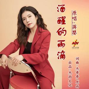 酒醒的雨滴dj-蒋婴