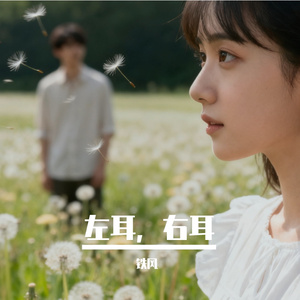 左耳,右耳