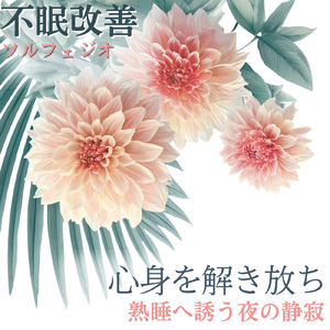 優しいギターでストレス解消 今すぐ眠れる睡眠音楽 1/fゆらぎで睡眠導入