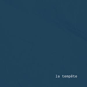 Je crois que je vais rentrer à pied