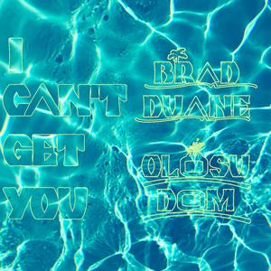 I Can't Get You (Summer Version)