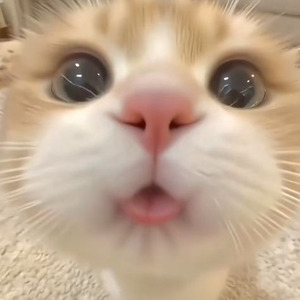 Fantastic Four Pt. 2 (sped up)