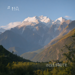 旅途是温柔的答案