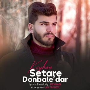 Setare Donbale Dar