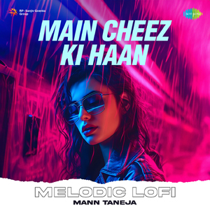 Main Cheez Ki Haan Melodic Lofi