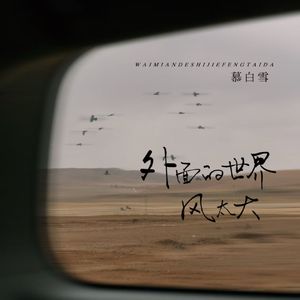 外面的世界风太大