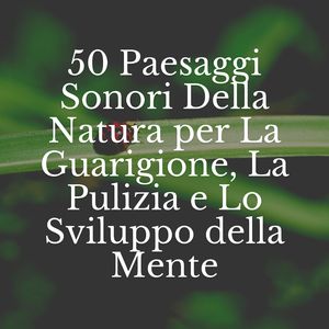 Sounds Of Nature Rain And Ocean Waves