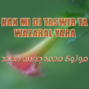 Nan Ba Yam Saba Ba Nayam
