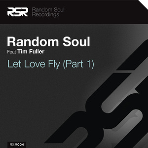 Let Love Fly (Random Soul Vocal)