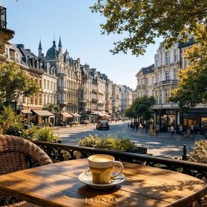 Light Between the Branches