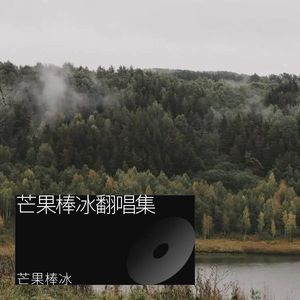 感谢你曾经来过 (DJ版)