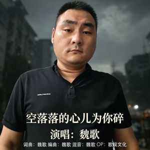 空落落的心儿为你碎