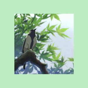 Birdnest (feat. Alazko & Vaguely Cynical)