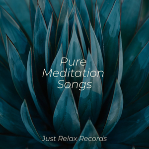 Jade Dreamscape Suite