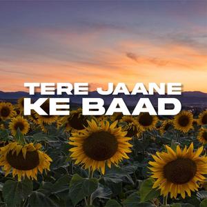 Tere Jaane Ke Baad