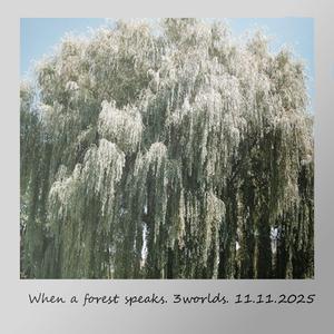 When a forest speaks