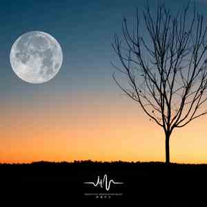 寻寻觅觅-古筝 (减压放松)