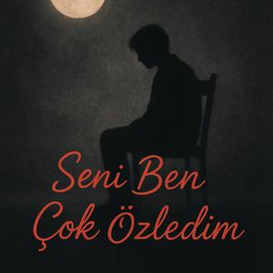 Seni Ben Çok Özledim