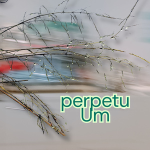 perpetuUm