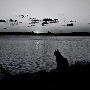 回忆是盛大的告别