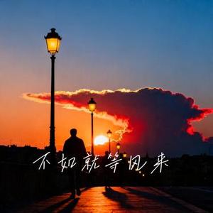 不如就等风来 (Cover 向思思)
