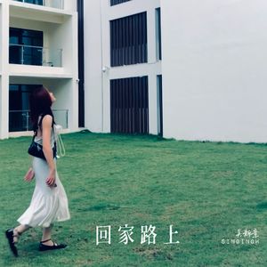 回家路上