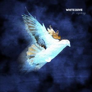 White Dove (feat. Vxjoking)