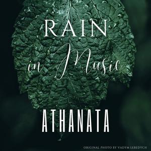 Rain and Birds (Calming Music)