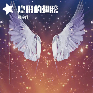 隐形的翅膀