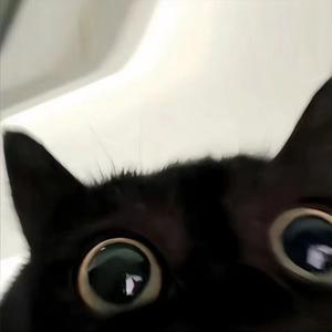 买辣椒也用券-最后一页胶卷（白无言 remix）