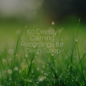 Fading Whispers of Euphoria
