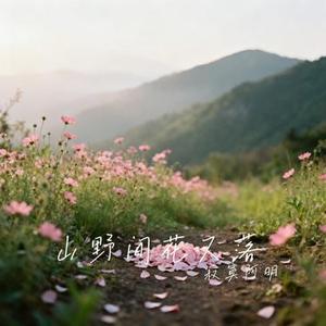 山野间花又落 (Cover 万海东)