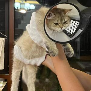 "9.10"（中秋节）