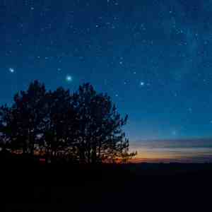 花开花落 (静心曲)