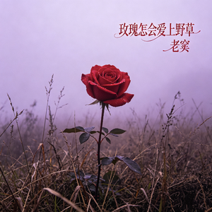 玫瑰怎会爱上野草