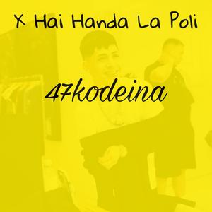 X Hai Anda La Poly
