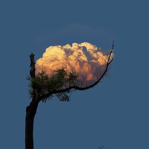 时间的轨迹（Tracks of Time）