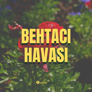 Behtacı Havası (Şən Toy Musiqisi)