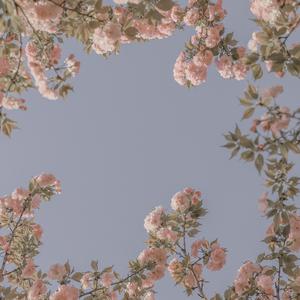 You Are My Sunshine（翻自 Elizabeth Mitchell）