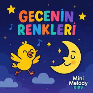 Gecenin Renkleri