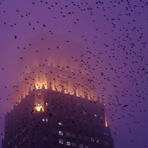 City (feat. soja p! & punchkid!)