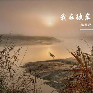 我在彼岸