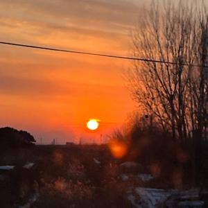 Mirror（翻自：阿达娃）