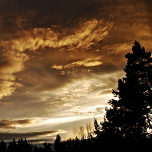 산뜻한 꿈 (자장가)