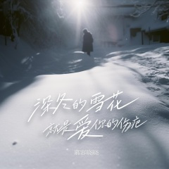 深冬的雪花就是爱你的伤疤