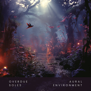 Aural Environment