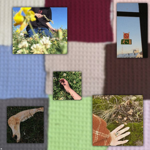 Леса и болота